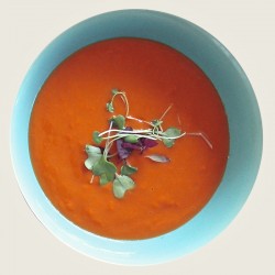 Soupe
